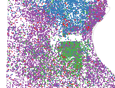 Community Demographics